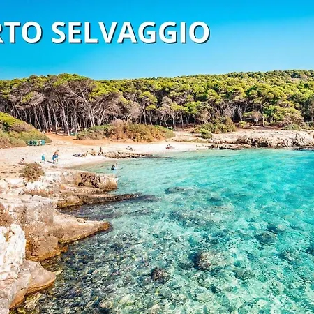 Daire Coral - 30 Passi Dalla Della Purita