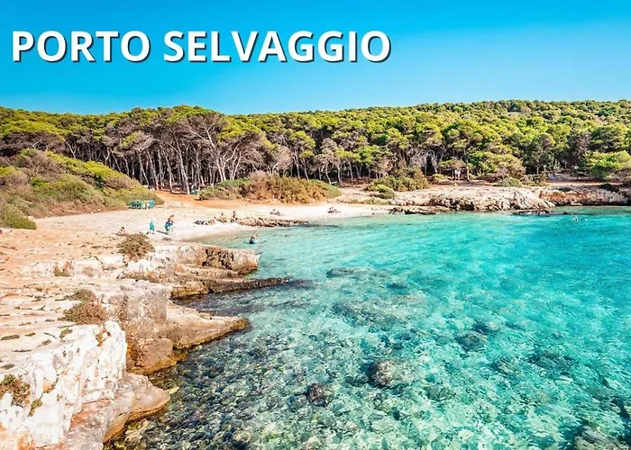 Appartamento Coral - 30 Passi Dalla Della Purità